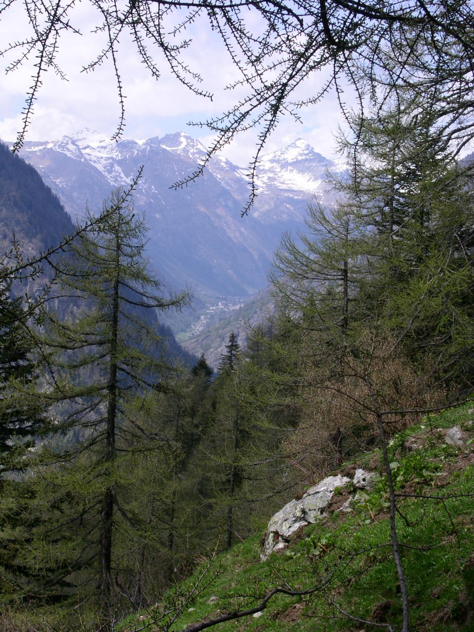 A view of Gressoney